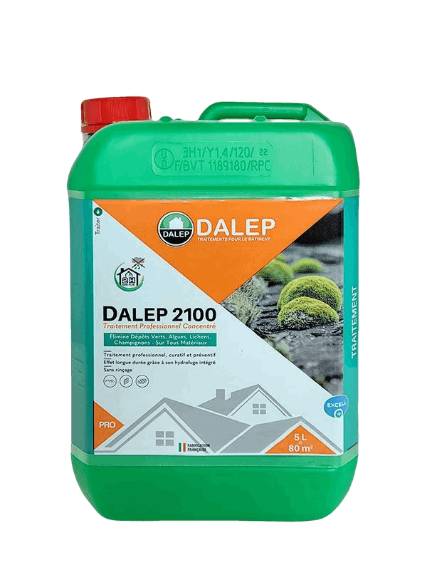 Dalep 2100