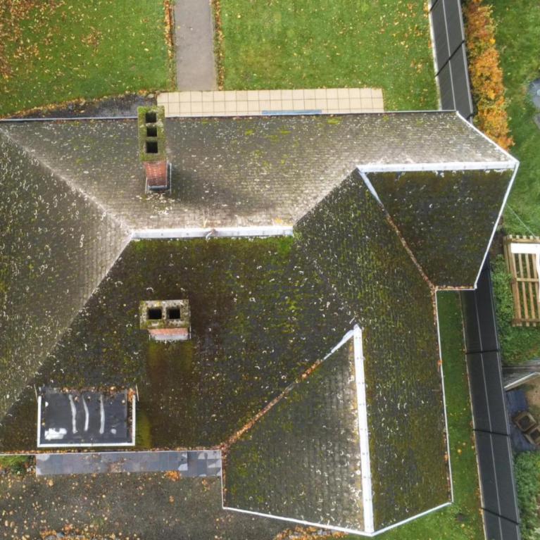 Démoussage de toiture